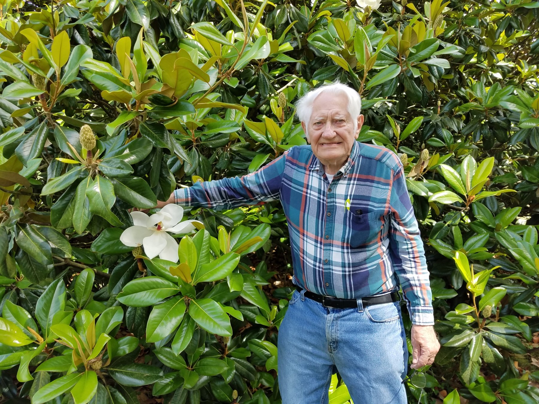 Obituary of Robert Harris Walton Sr.