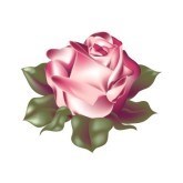 Obituary of Dorothy Marie Drummond Riddle