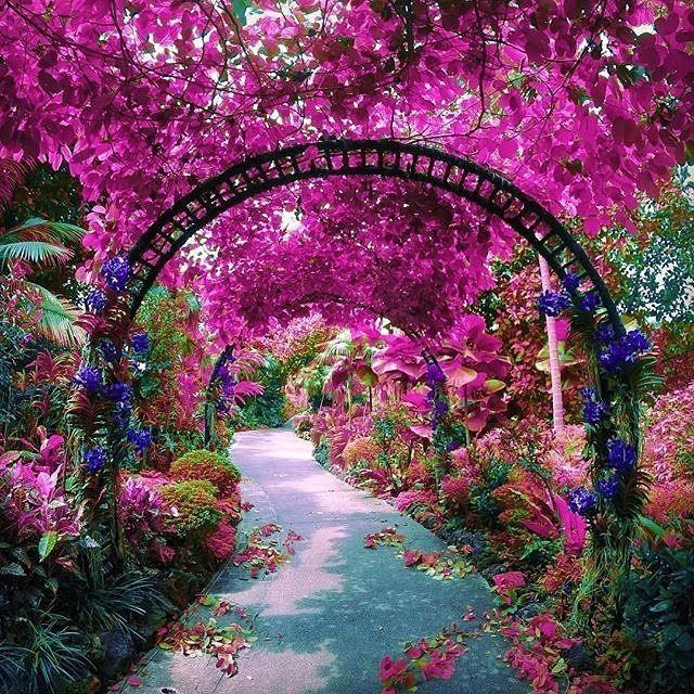 Obituary of Mary Jo Parrish