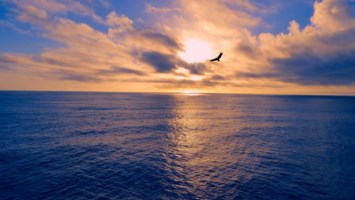 Obituary of John Nodalny Sr.