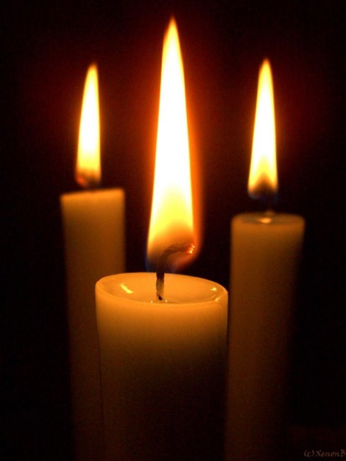 obituary image
