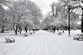 Obituary of Alex Dean Ruibal Jr.