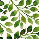 Obituary of Marina Litvinova