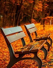 Obituary of Daniel S. Coffaro, Sr.