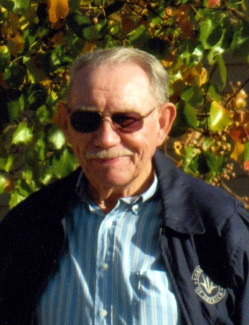 Obituary of David Franklin "Tom" Belt