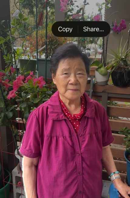Obituary of Mei Xian Wang