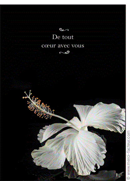 Andre Patry Obituary Quebec Qc