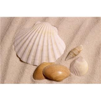 Obituary of Mary Elizabeth Durham