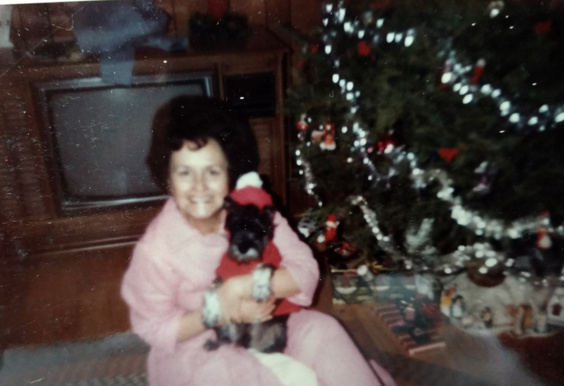 Obituary of Roberta Haley Piecara