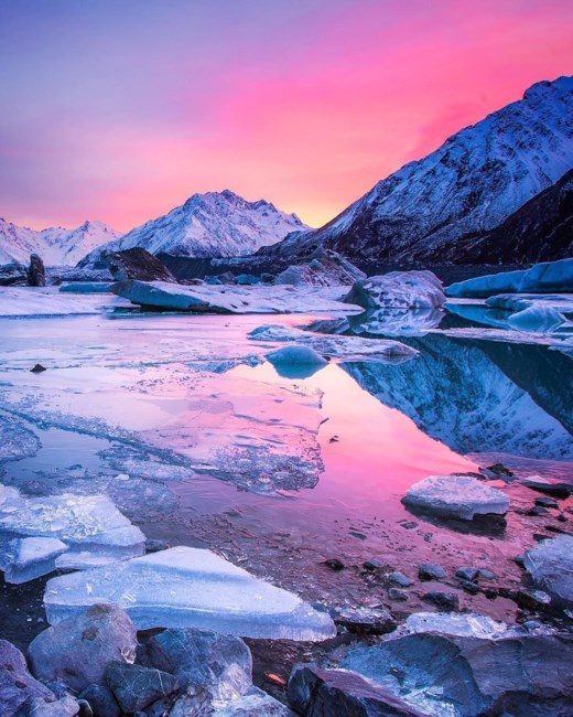 Obituary of Susan Lee Forkner