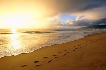 Obituary of Shirley Mary Maude Ferjo