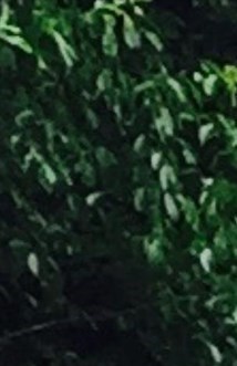 Richard Stover Obituary - Little River, SC