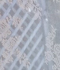 Lingjuan Wang Obituary Edmonton, AB