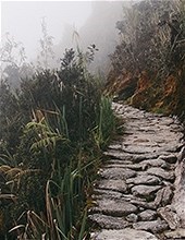 Obituary of Thomas William Meier