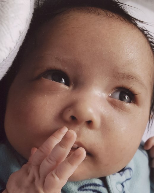 Obituary of Ella Mackenzie Steven