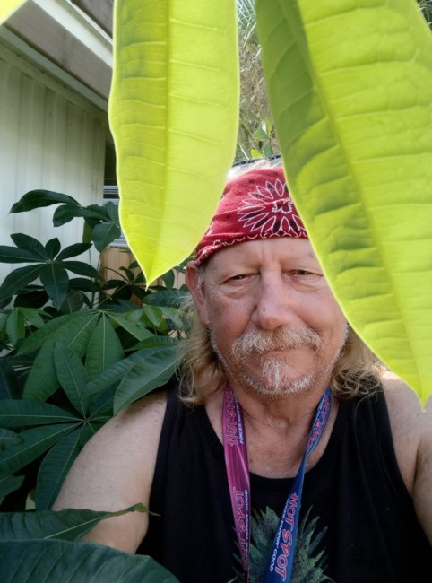 Obituario de Norman Joseph Ofcharik