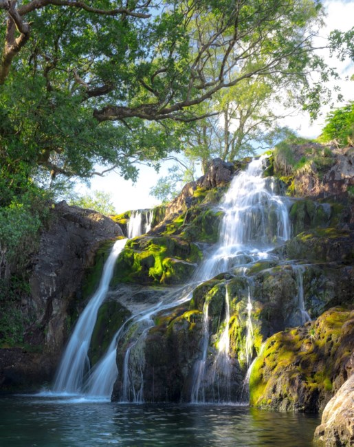 Obituary of Oscar Marc Rosales