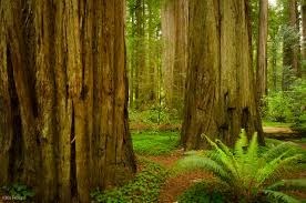 Obituary of Michael David Huffman