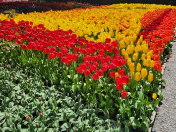 Obituary of Emma Yevgenyevna Libenson