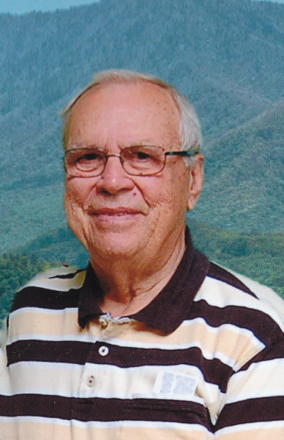 Obituary of William Frank Bridges Sr.