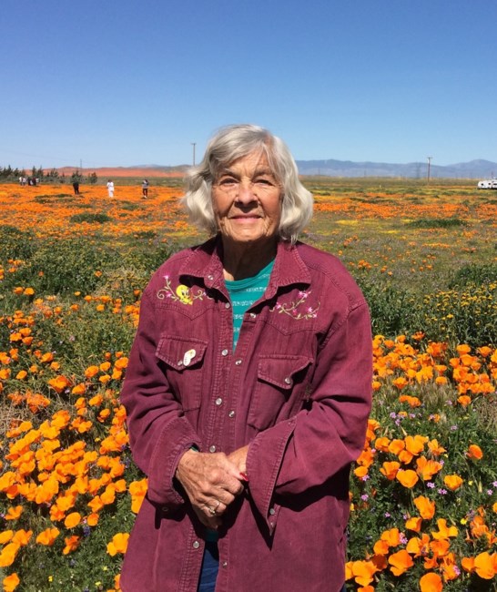 Obituary of Shirley Katherine Dunbar