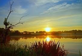 Obituary of Christopher Blain Rhodes