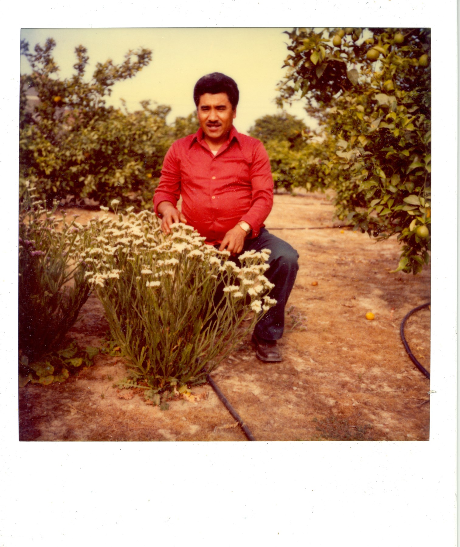 Obituary of Martin Montiel Chavez