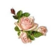 Obituary of Bernadette Jackson