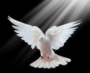 Obituary of Reuben David Benavides
