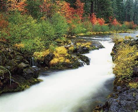 Obituary of Derik Morganstern