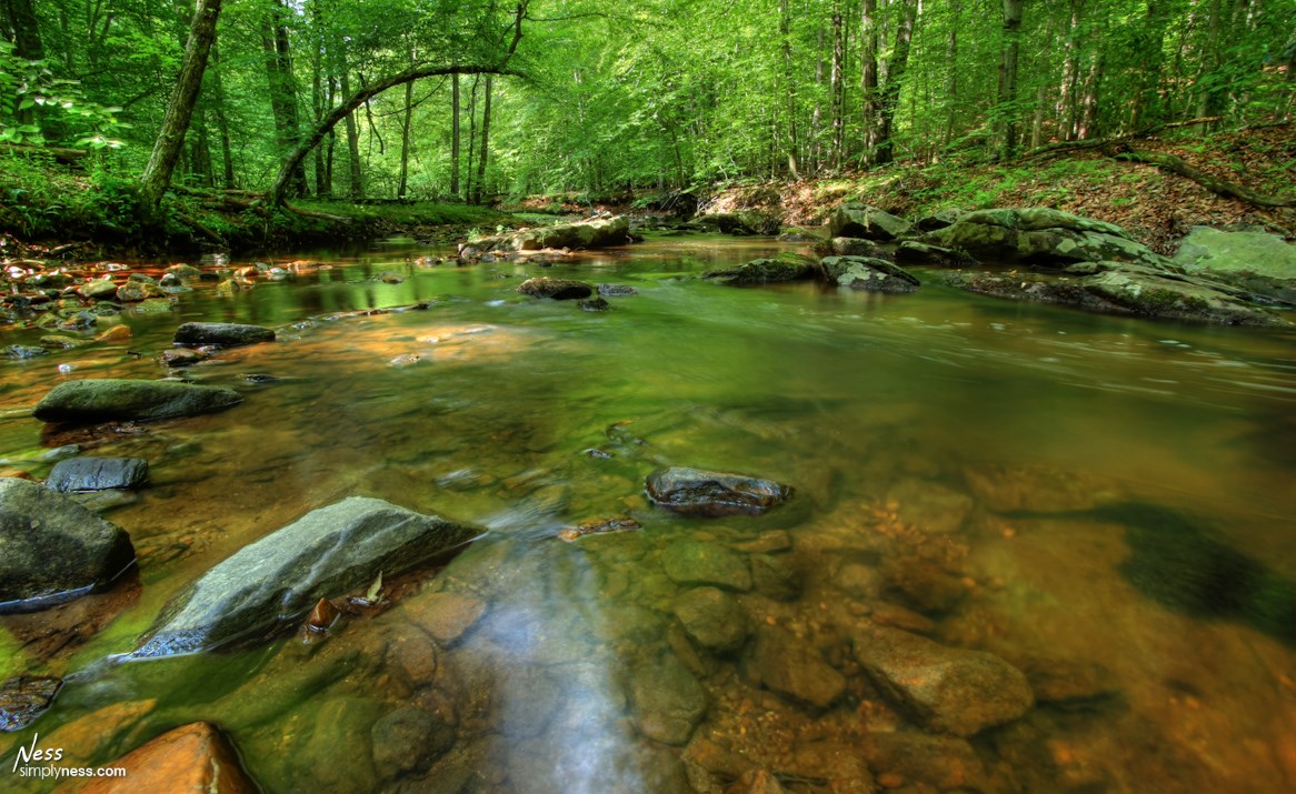 Obituary of Billy Don Robinson