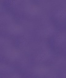 Judith Mathieu Obituary - Orange City, FL