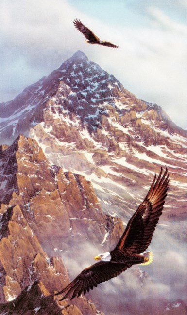 Obituary of Lynn Maynard McCrum