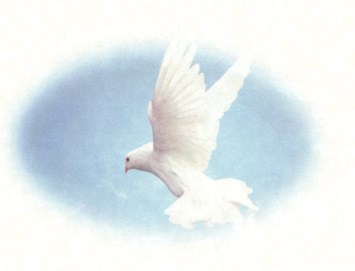 Obituary of Joan S McLaughlin