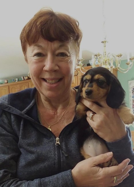 Obituary of Susan Marie Letourneau