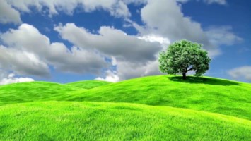 Obituary of Gregory Alan Macdonald