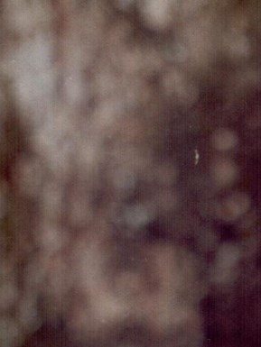 Patricia Ann Hill Obituary - Tuscaloosa, AL