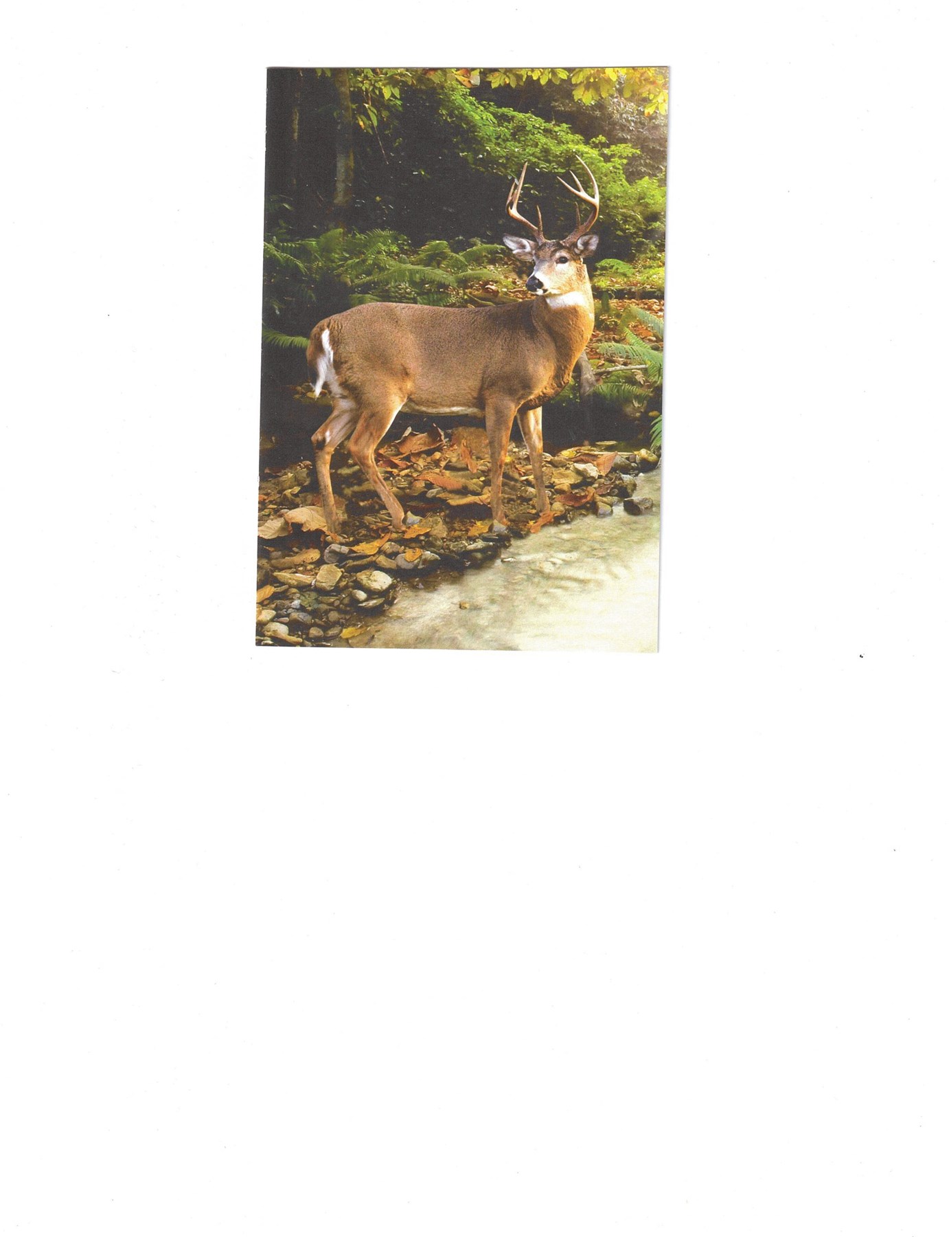 Obituary of Max H. Sutton