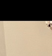 Anne Frances Bickel Obituary - Indianapolis, IN