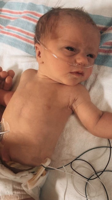 Obituary of Sabina Marie Ryan