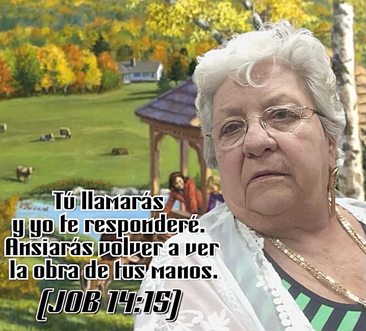 Obituary of Elvira N Perez