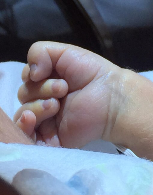 Obituario de Joel Salinas Jr.