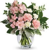 Obituary of Jacquelyn Ann Carter