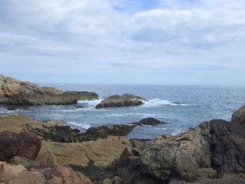 Obituary of Donald I. Wise