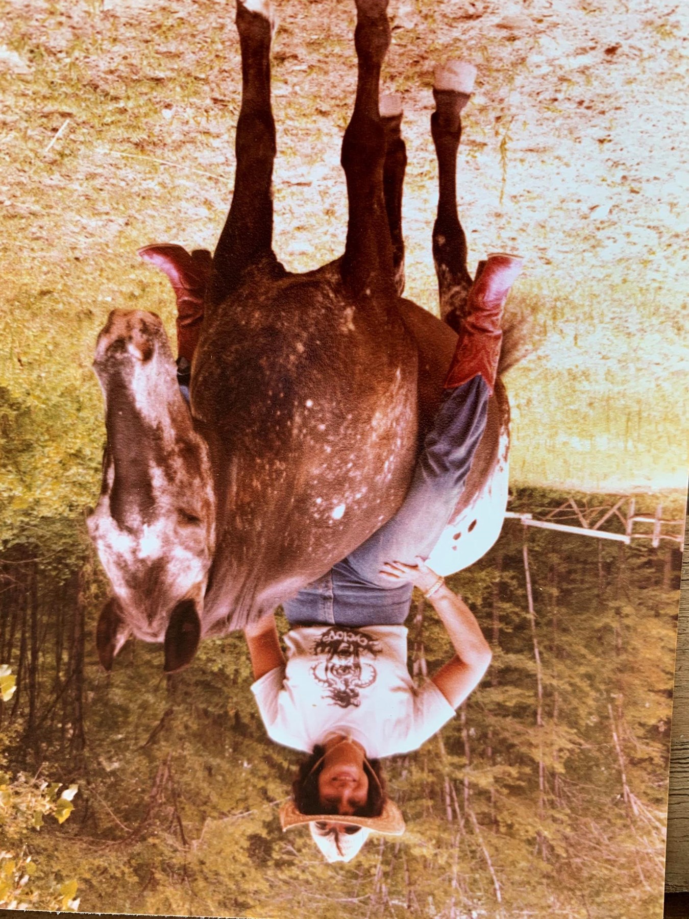 Obituary of Anne Aronowitz Miller