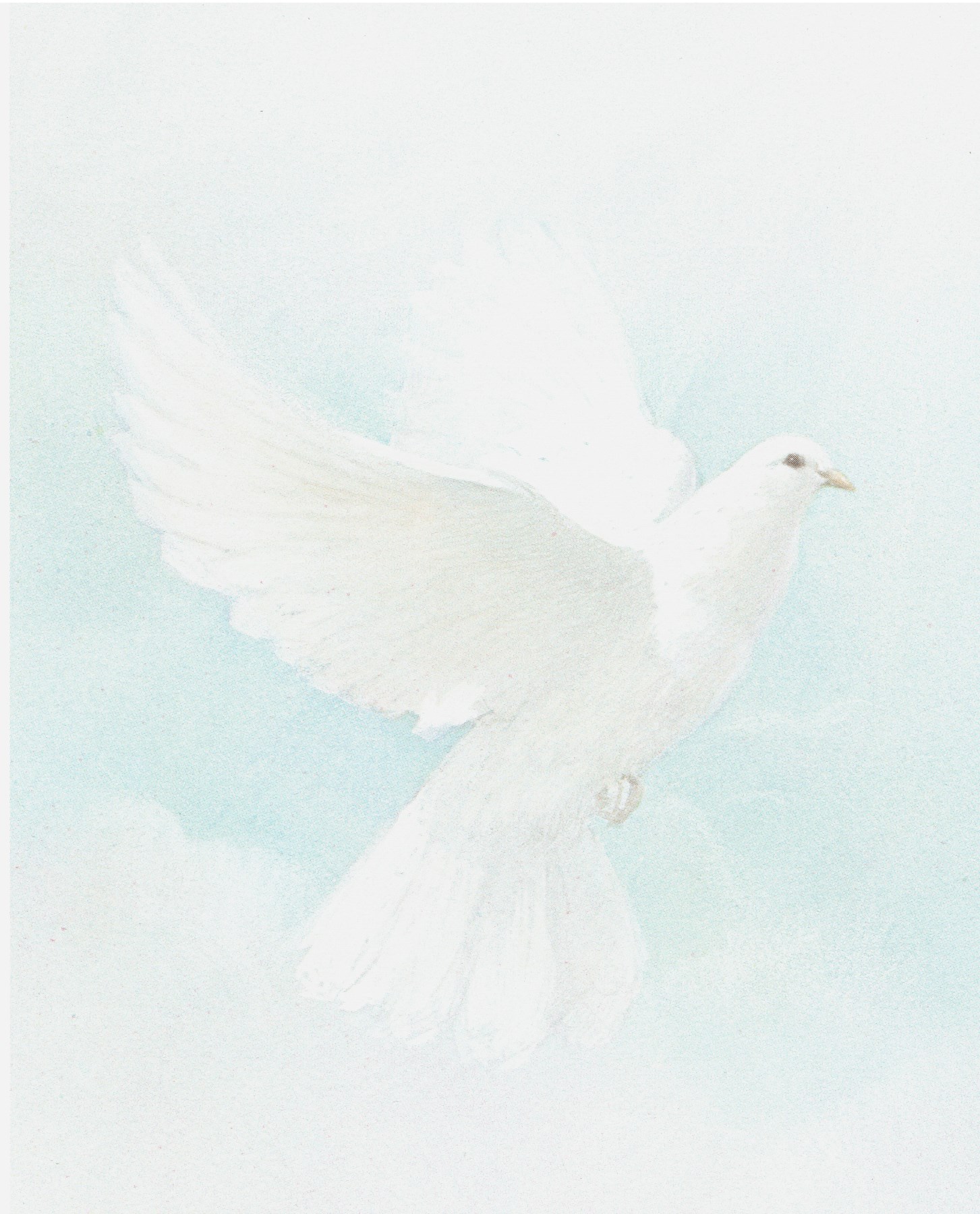 Obituary of Evelyn Lee