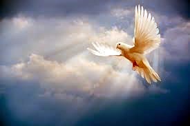 Avis de décès de Betty Marie McGraw