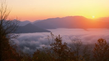 Avis de décès de Debra Kay Johnson