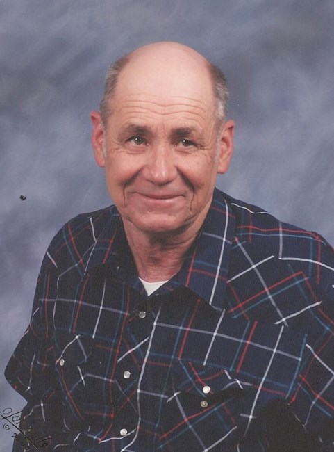 Obituary of David Wallace Peterson