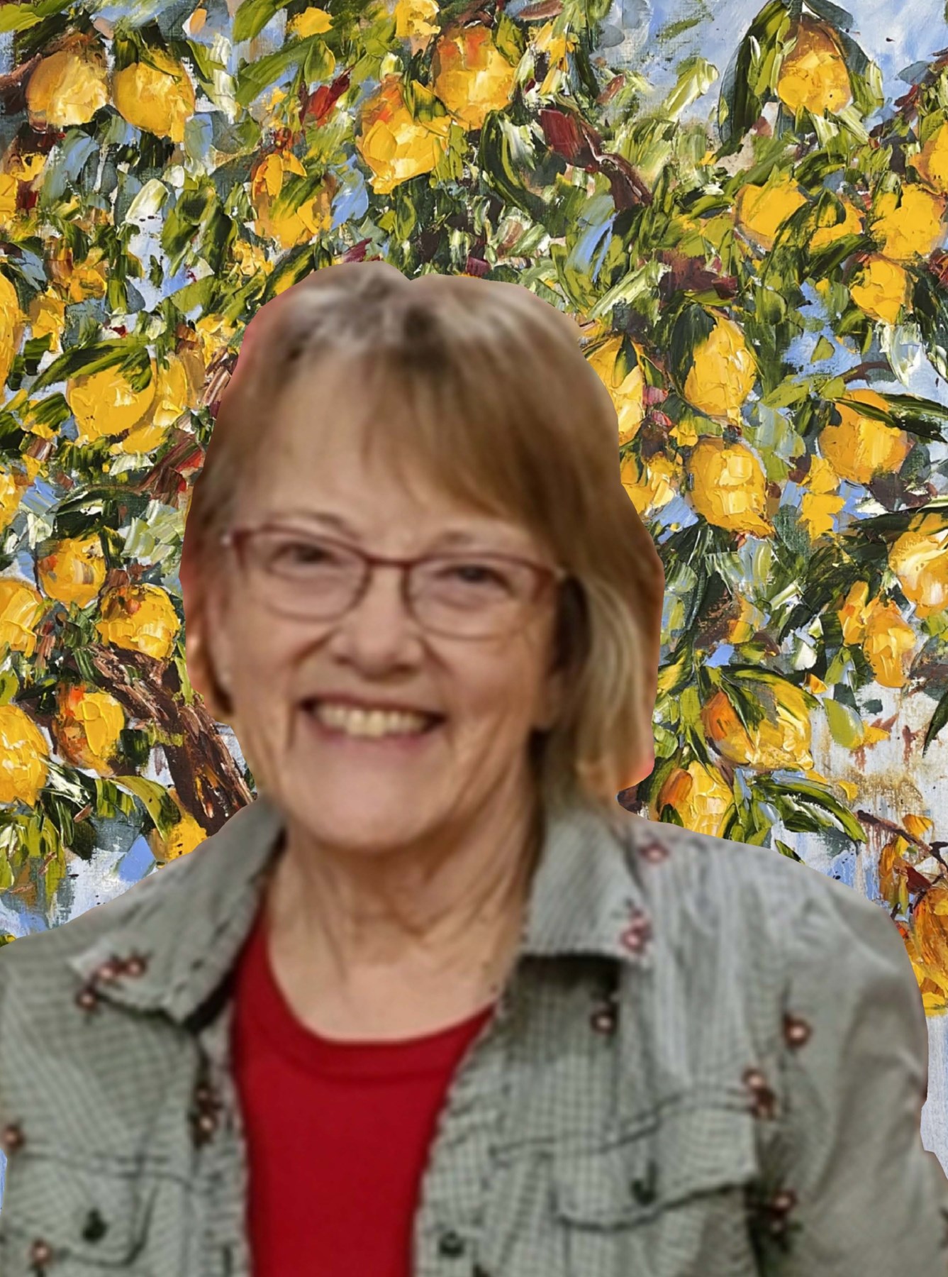 Obituary of Susan Joy Stinar